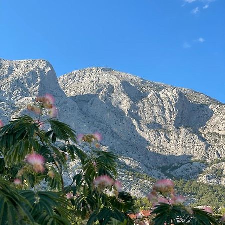 Heaven'S View Apartments Baška Voda المظهر الخارجي الصورة