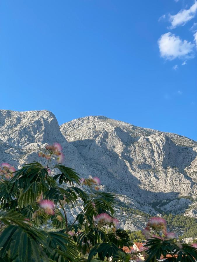 Heaven'S View Apartments Baška Voda المظهر الخارجي الصورة